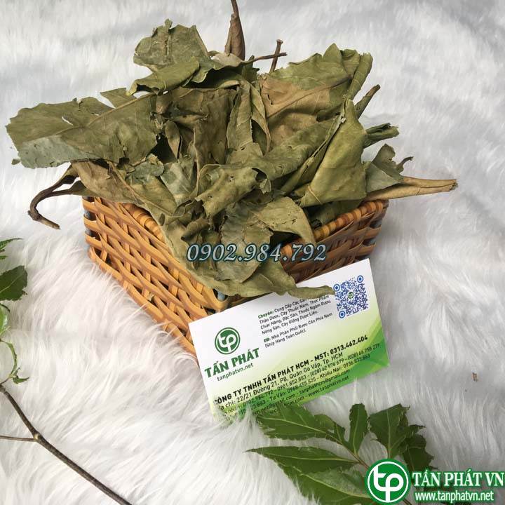 Lá vối khô túi lớn loại 1kg chuyên dùng để pha trà - Hỗ trợ cải thiện sức khỏe dạ dày của bạn