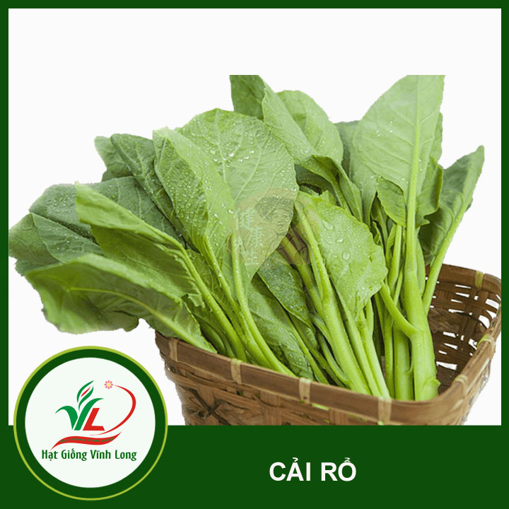 Hạt giống Cải Rổ RD 305 - 5g