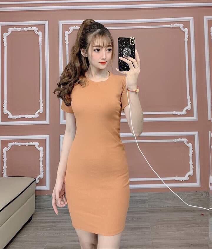 [HCM]Đầm body thun thái mát lạnh thoải mái  HL