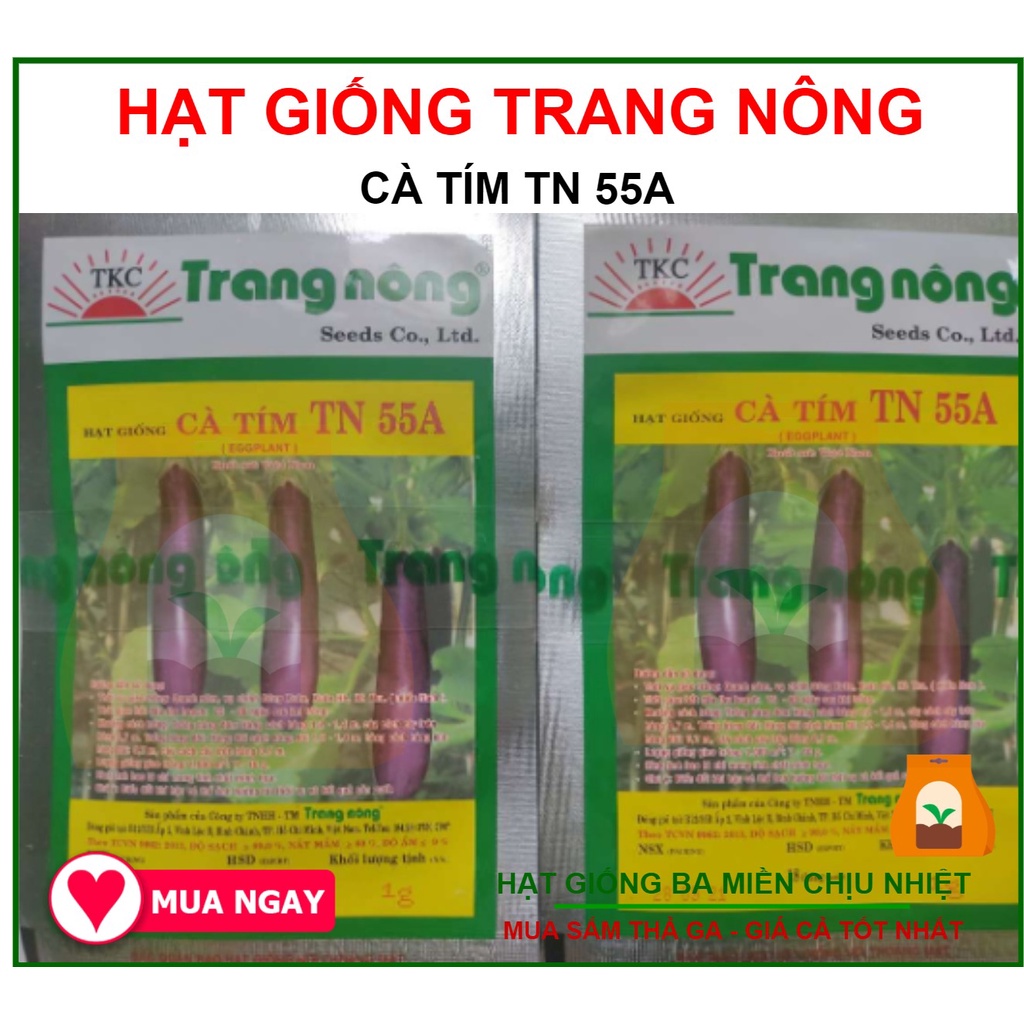 Gói 1gram hạt giống cà tím