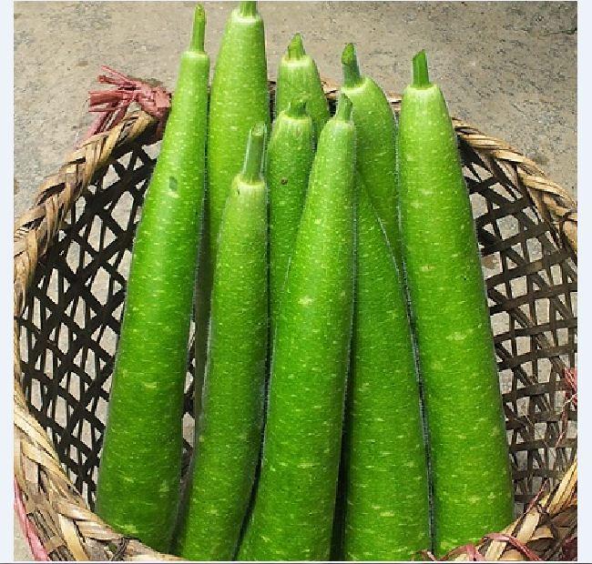 Combo  4 gói hạt giống bầu bí - ( 1 bầu hồ lô - 1 bí xanh dài - 1 bầu sao - 1 bí hạt đậu )