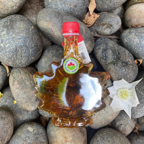 Siro lá phong maple syrup echo mountain 250ml