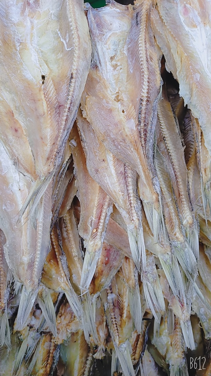 Khô cá mối size lớn 1kg