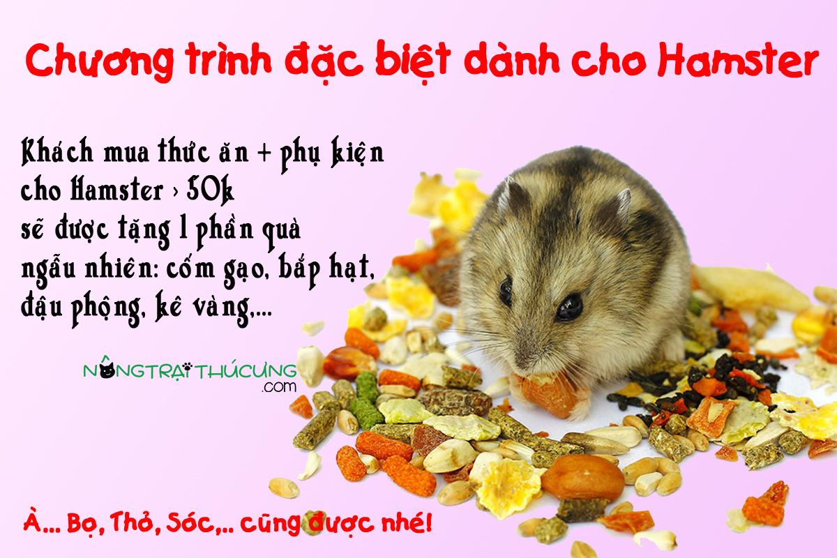 Bình Nước Bi Cho Chuột Hamster - [Nông Trại Thú Cưng]