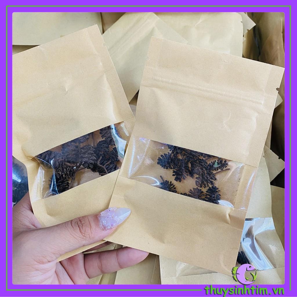 Trái Thông Khô ALDER CONES (Erlenzaphen)