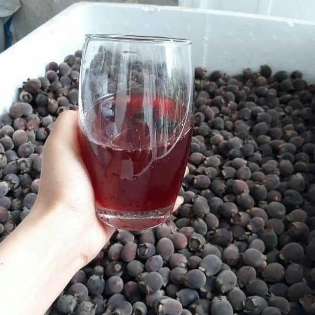 500g nụ tấm tam thất bao tử