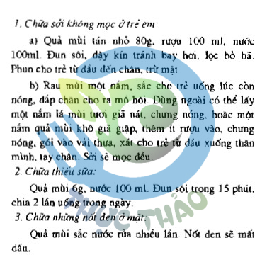 Hạt ngò rí (hạt mùi)