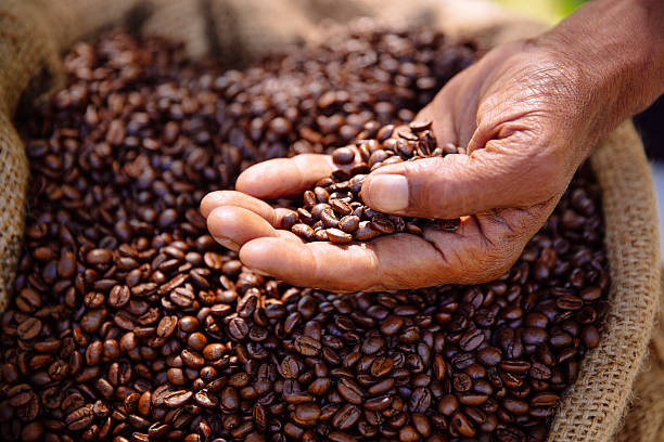 [HCM]Cà Phê Nguyên Chất Robusta + CuLi - Tỉ Lệ 5:5