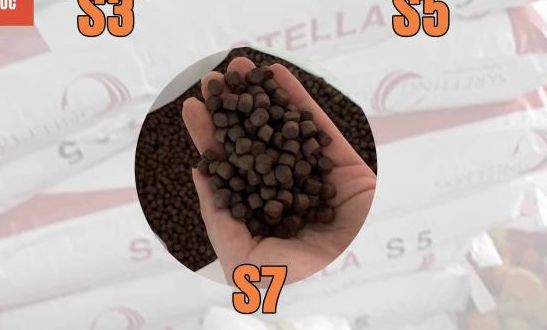 [1KG] Cám Cá Chép KOI STELLA S2|S3|S5|S7 42% Đạm Viên Nổi-Thức Ăn Cá STELLA Cho cá chép,koi,cá lóc