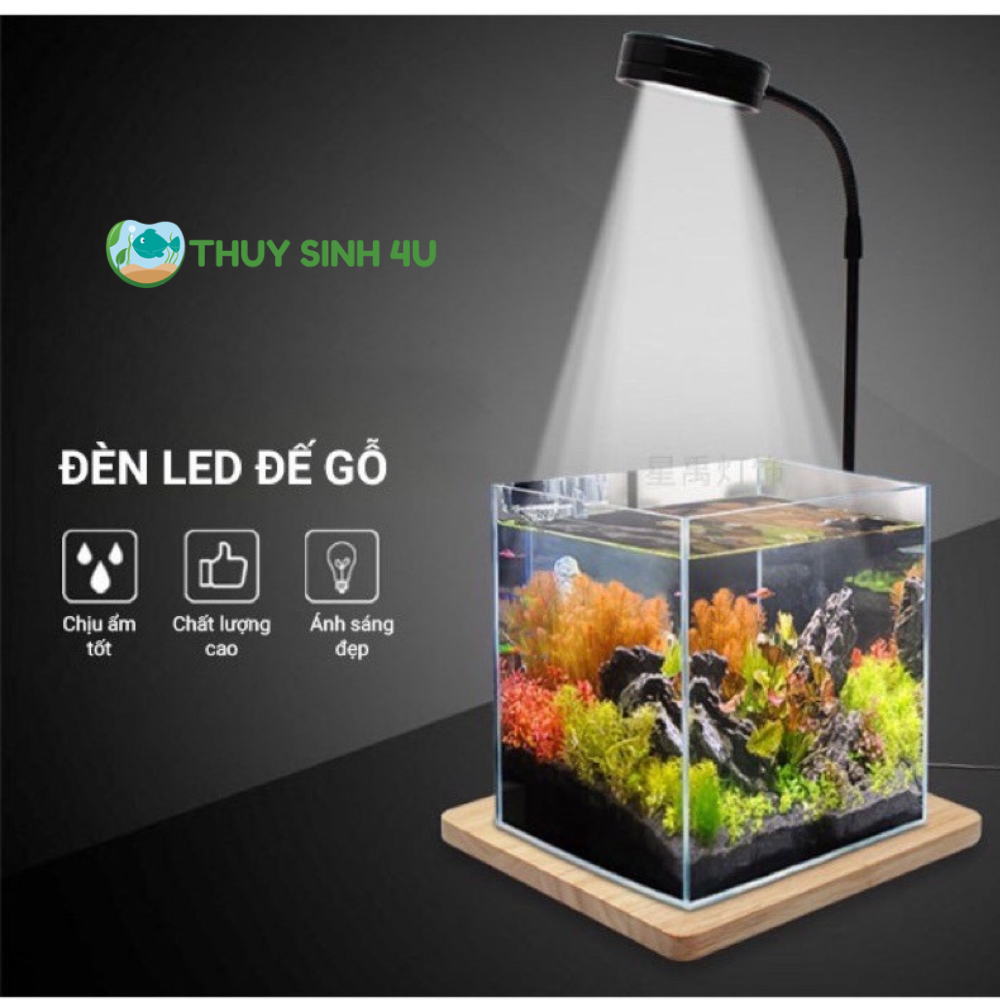 Đèn LED đế gỗ Terrarium để bàn cực đẹp