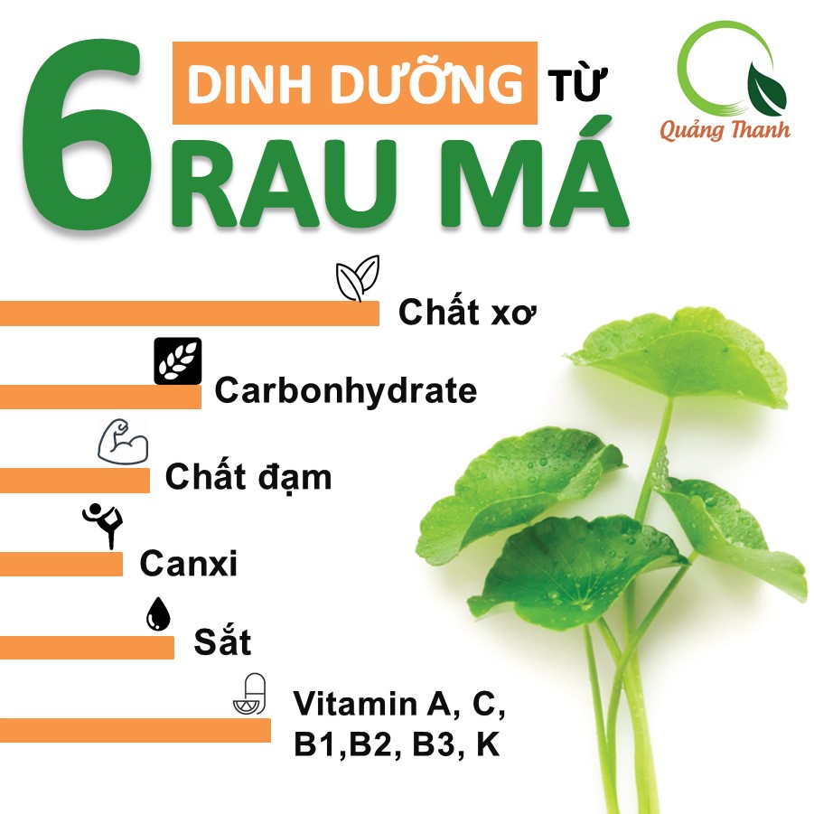 200gr bột rau má sấy lạnh nguyên chất 100%