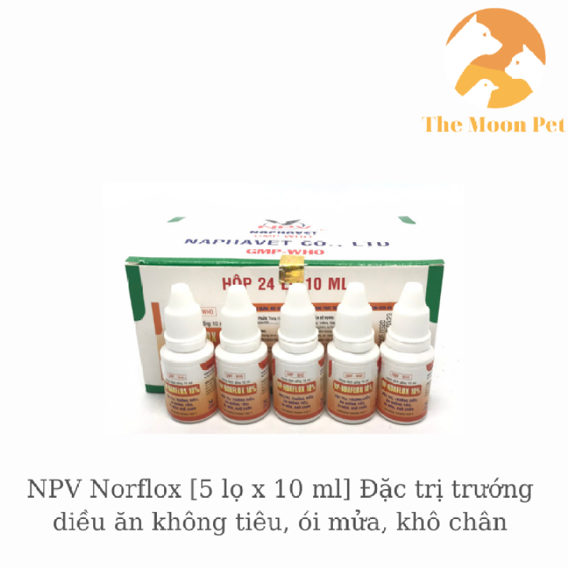 Norflox [5 lọ x 10ml] chướng diều, ăn không tiêu khô chân, ói mửa