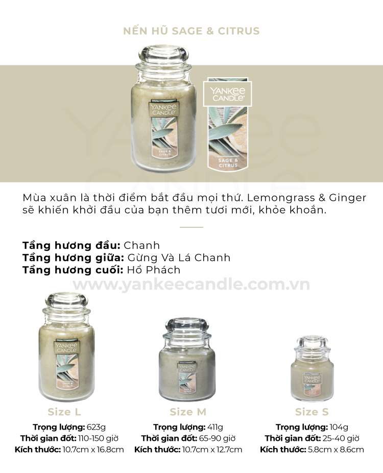 Nến hũ Yankee Candle size L - Sage & Citrus