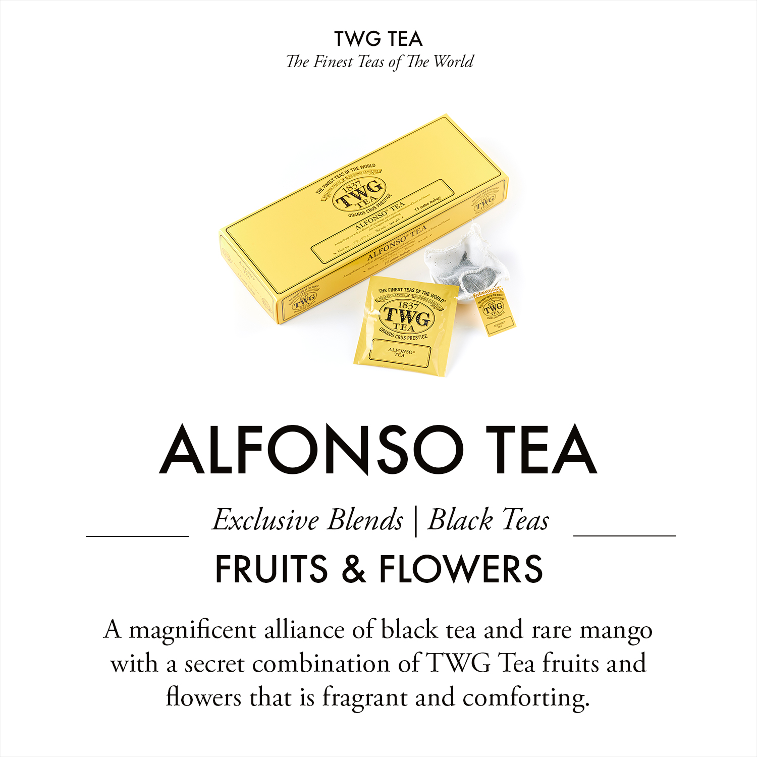 Trà TWG Tea - Alfonso Tea (2.5g x 15 túi lọc) | Trà Đen