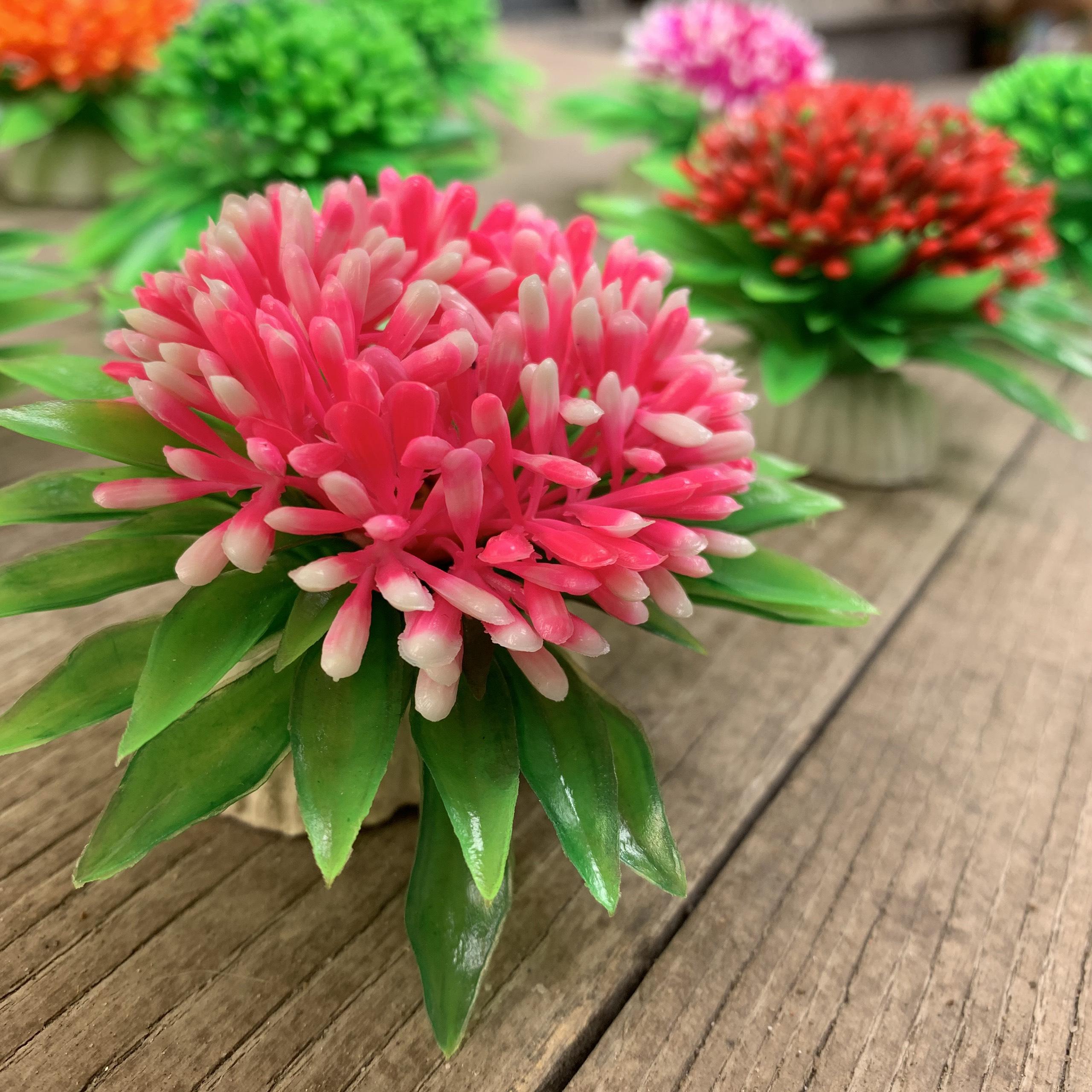 Bộ 3 cây rong lùn màu ngẫu nhiên trang trí bể cá size mini