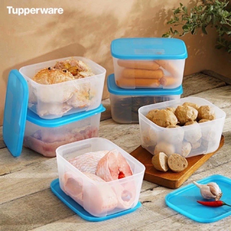 Hộp trữ đông Tupperware 650ml dẹt