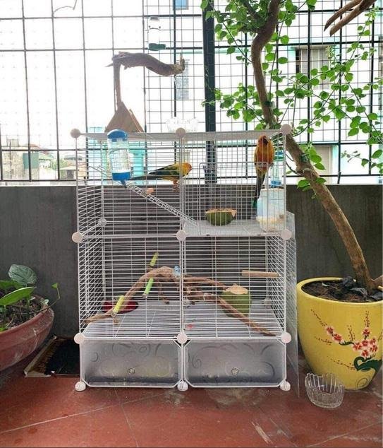 [Sắt Lắp Ghép] Chuồng Chim lắp ghép - có chân , tặng khay hứng phân .