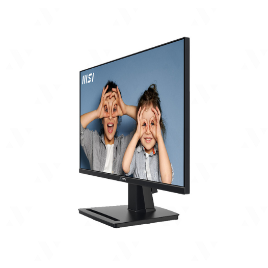 MSI pro mp251 / mp252 24.5 inch (FHD/IPs/100Hz/1ms) display-authentic