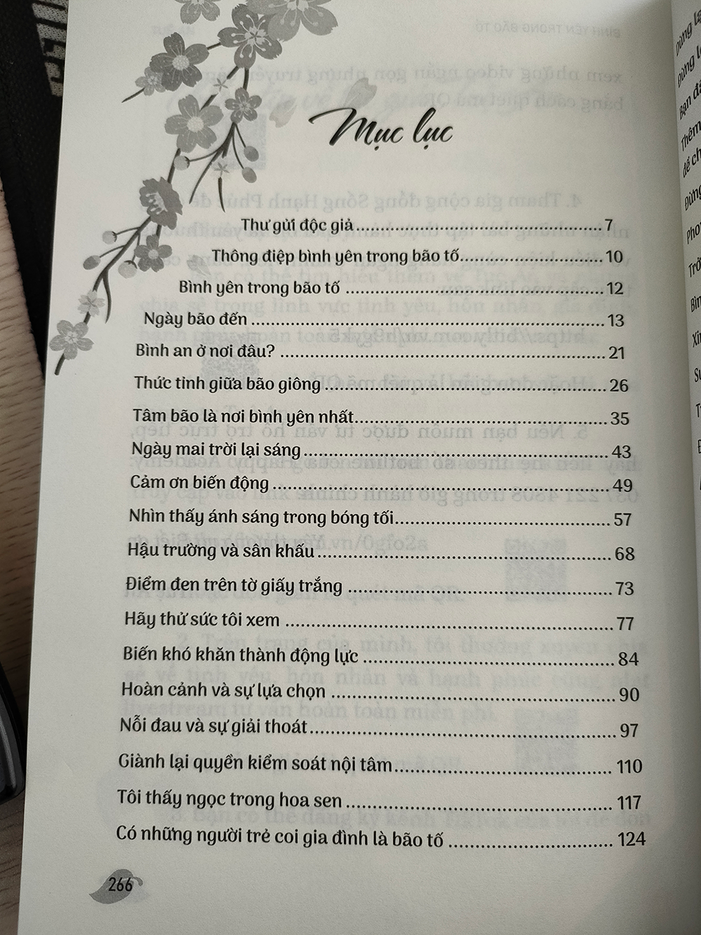 Sách Bình Yên Trong Bão Tố - Tuệ An