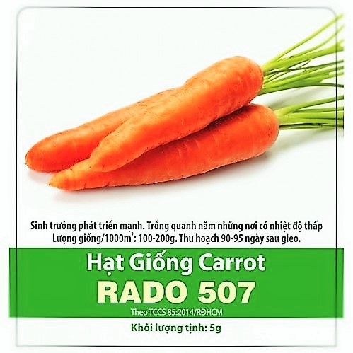 HẠT GIỐNG CỦ CÀ RỐT - GIỐNG CÀ RỐT