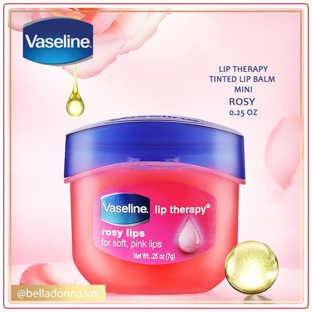 SON DƯỠNG môi Vaseline Lip Therapy 7g (Dạng Hũ) Frorence86 Store