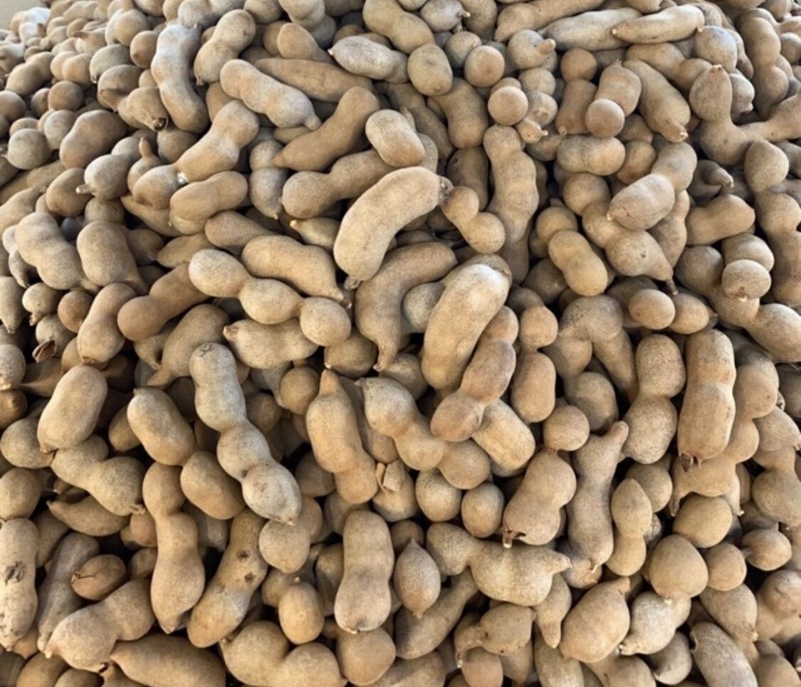 1kg Me Thái Ngọt