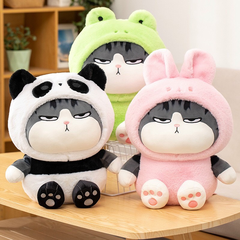 Gấu bông mèo hoàng thượng cosplay
