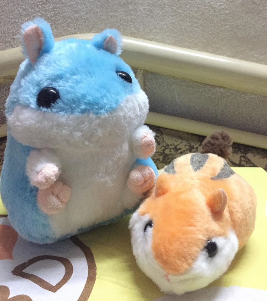 [HCM]Gấu bông chuột lang hamster dễ thương
