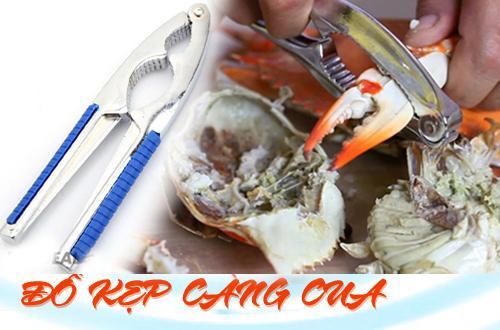 Kềm kẹp càng Cua quả Óc Chó Dragon