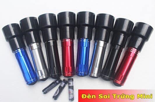 đèn pin soi trứng chuyên dụng