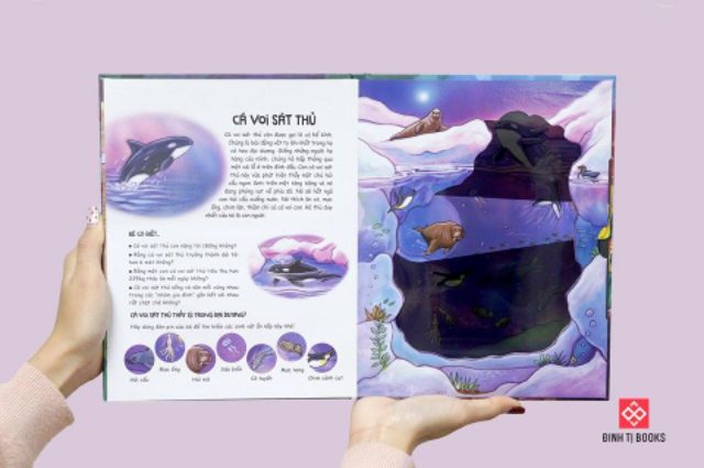 Sách - Đèn pin khám phá - Moonlight Animals - Động vật dưới ánh trăng