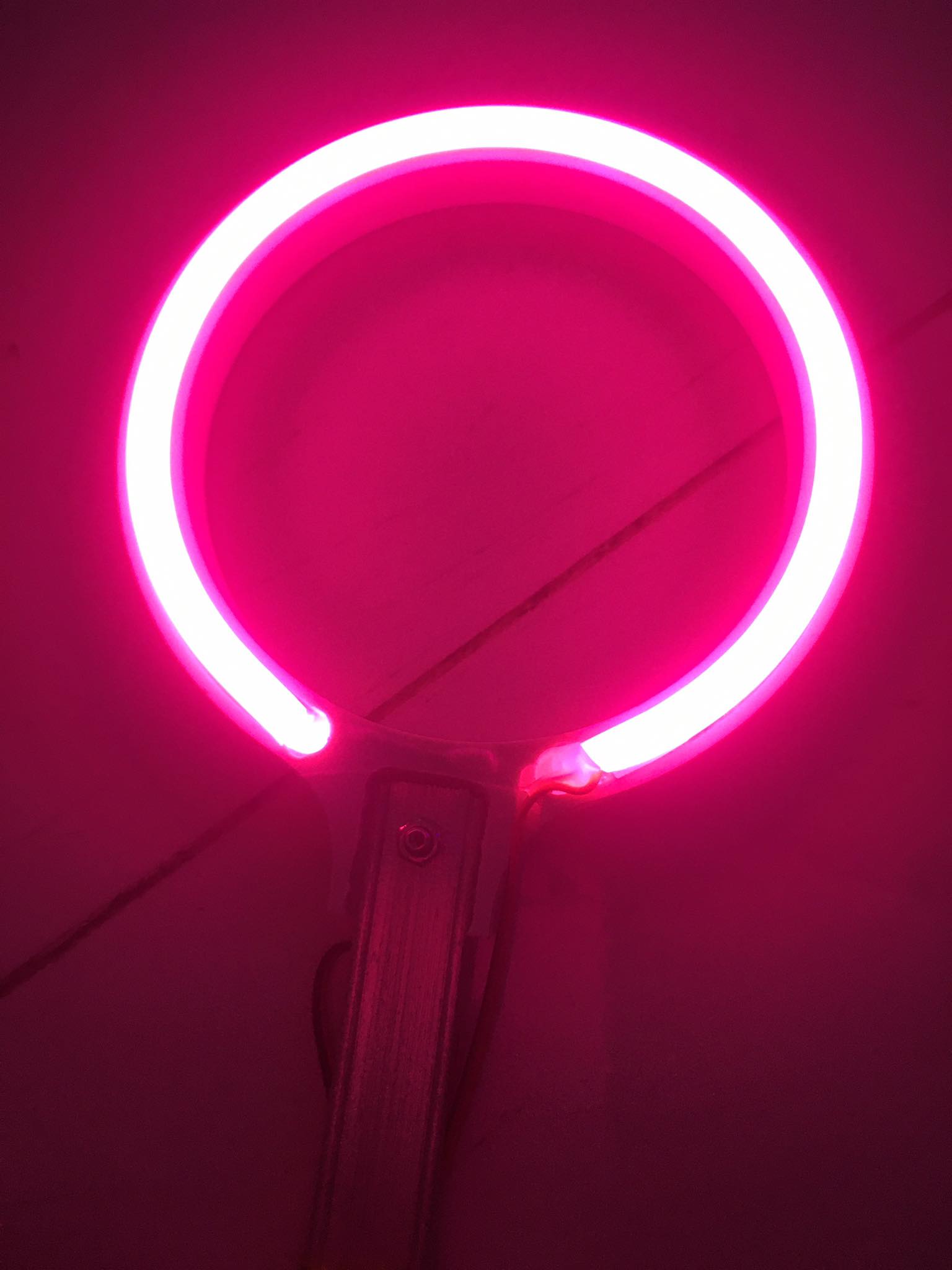 ( HCM) vòng hào quang NEON LED 28cm (kèm nguồn )