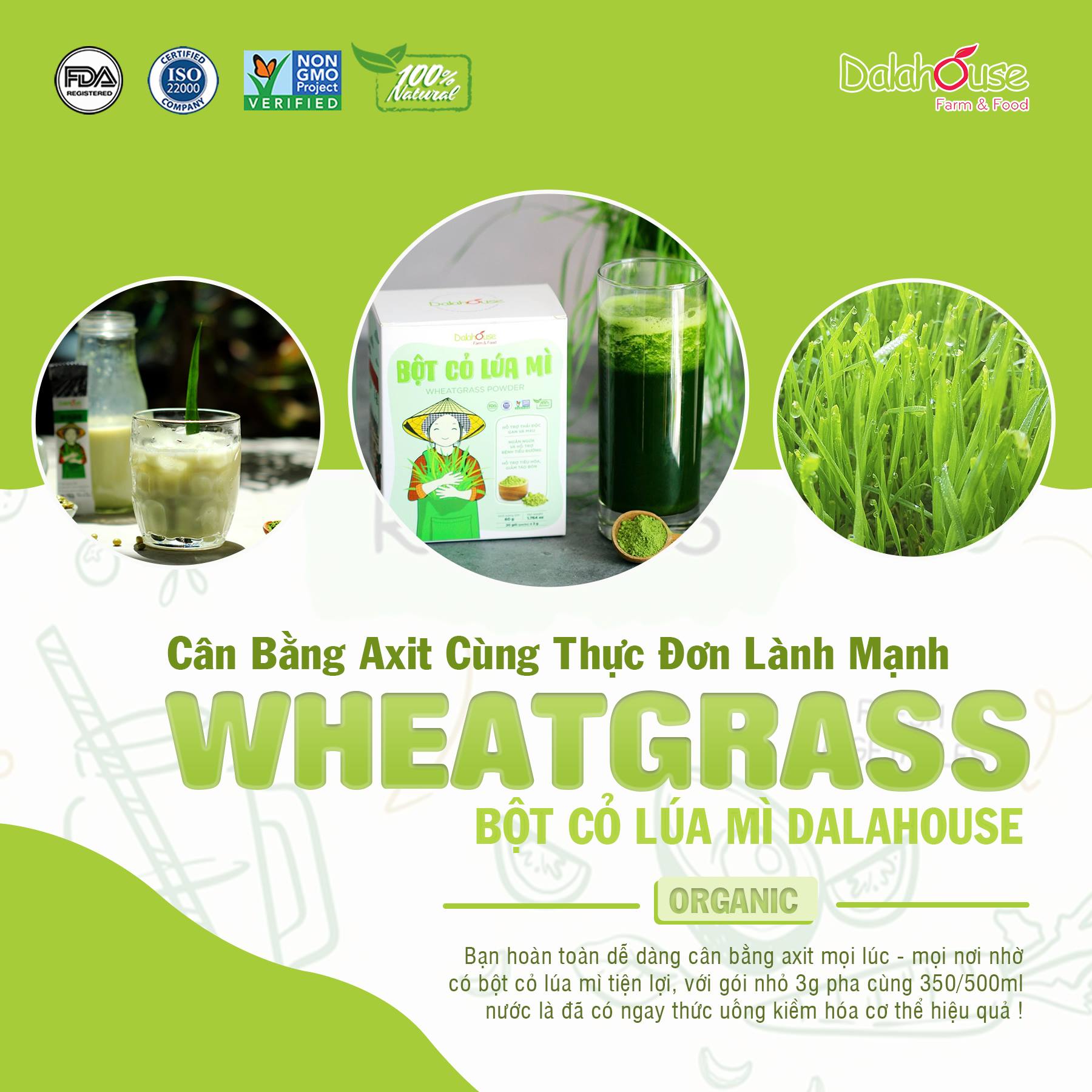 Bột Cỏ Lúa Mì DalaHouse 60 gram ( 100% Natural Wheatgrass Powder)