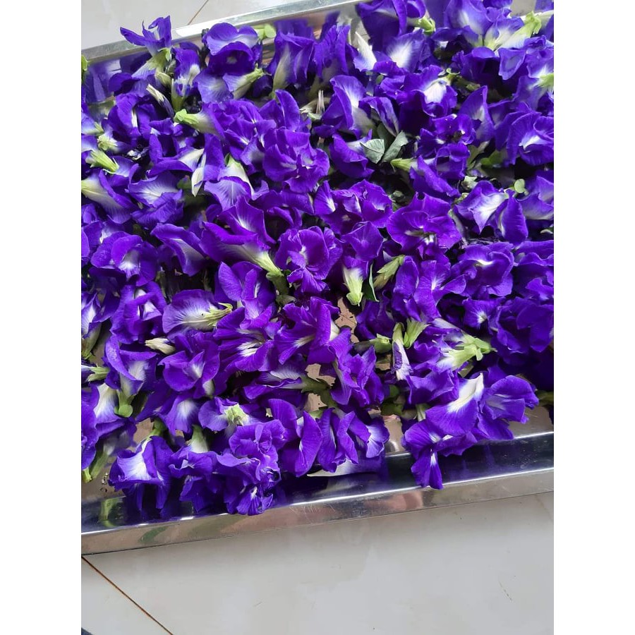 Trà Hoa Đậu Biếc 100G