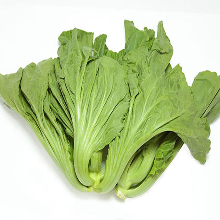 Hạt giống cải bẹ dưa