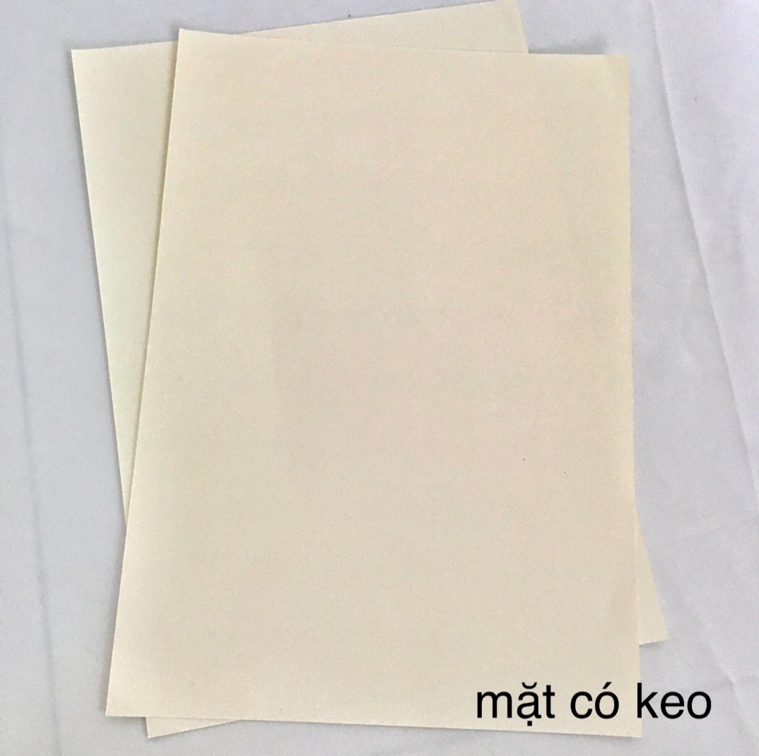 [HCM]Giấy In Nhiệt Decal Nước 20x30