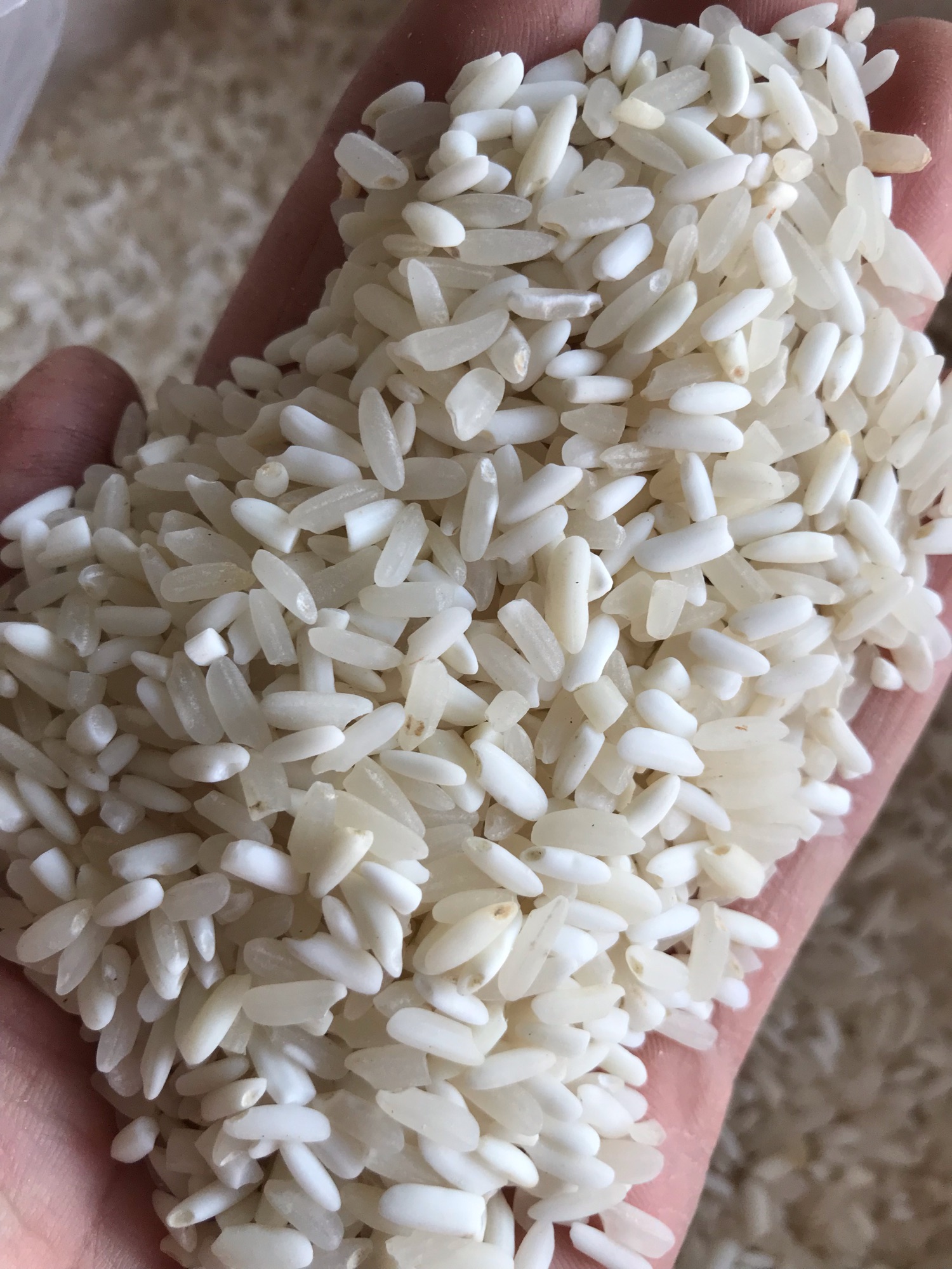 Gạo nếp điện biên (1kg)