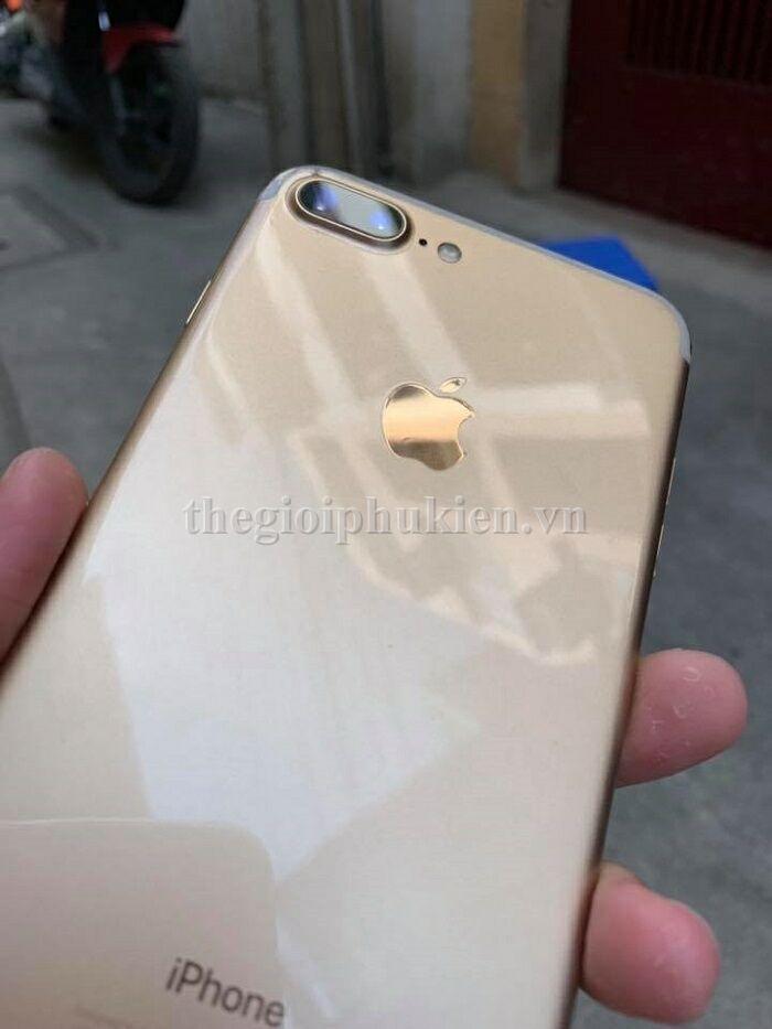 Miếng Dán PPF Mặt Sau Cho iPhone 7 Plus/ 8 Plus, Dán Mặt Lưng iPhone
