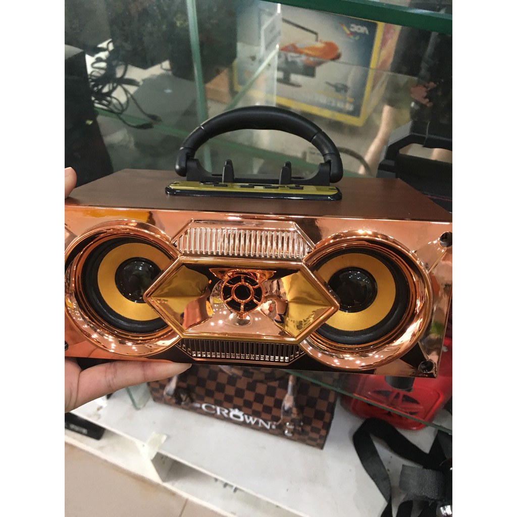 Loa F6 (karaoke, mic)