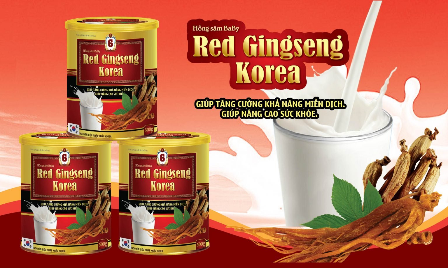 sữa bột hồng sâm baby red gingseng korea 3