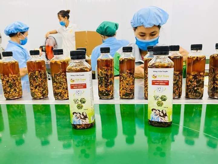 Sâu răng Nhật Dương