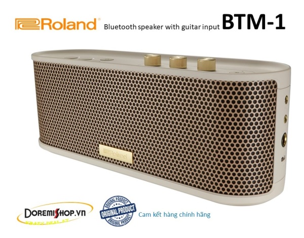 Loa guitar bluetooth speaker Roland BTM-1