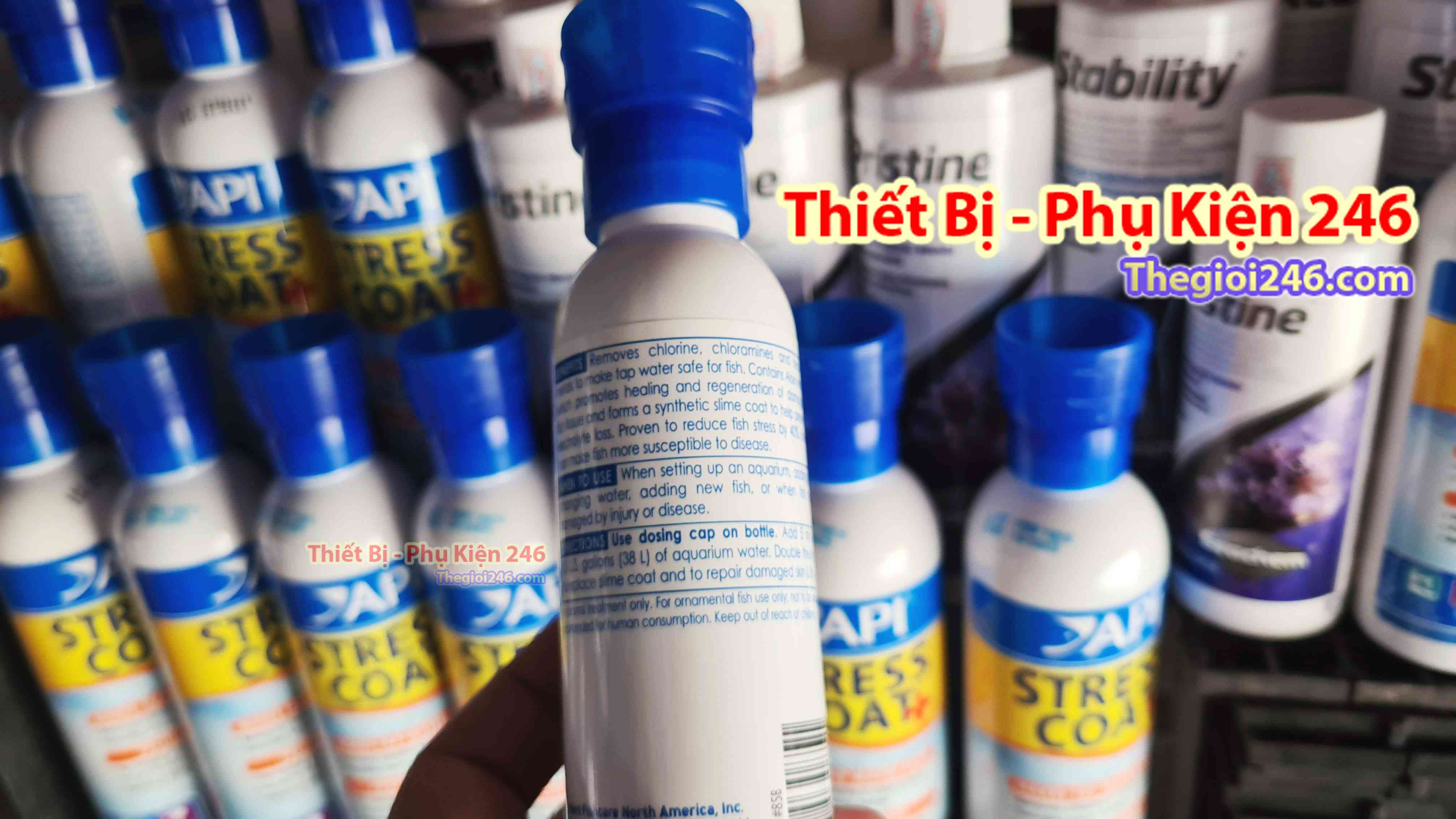 api stress coat 118ml -(giúp khử Chlorine,Chloramine và kim loại nặng) dưỡng thương cá