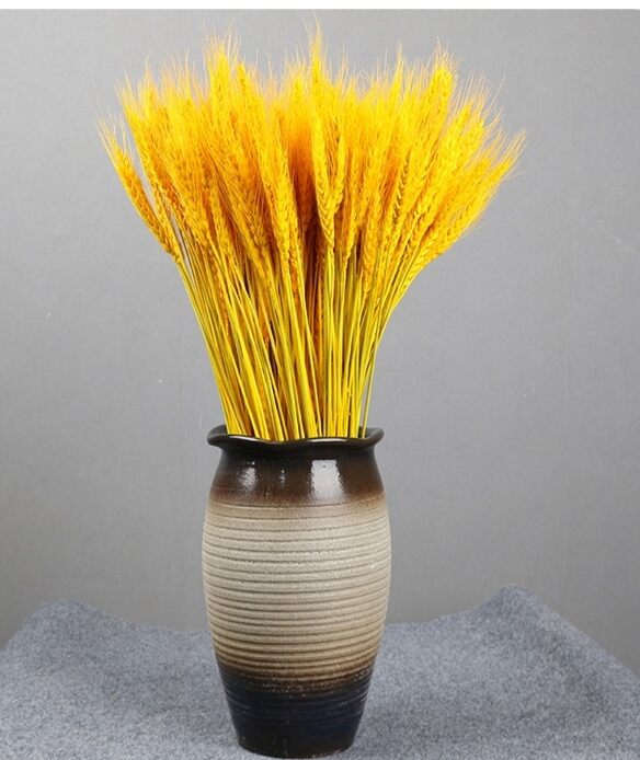 Lúa mạch khô (100 Bông) Lúa kiểng trang trí decor để bàn, phụ kiện chụp ảnh,hoa trang trí ngày tết