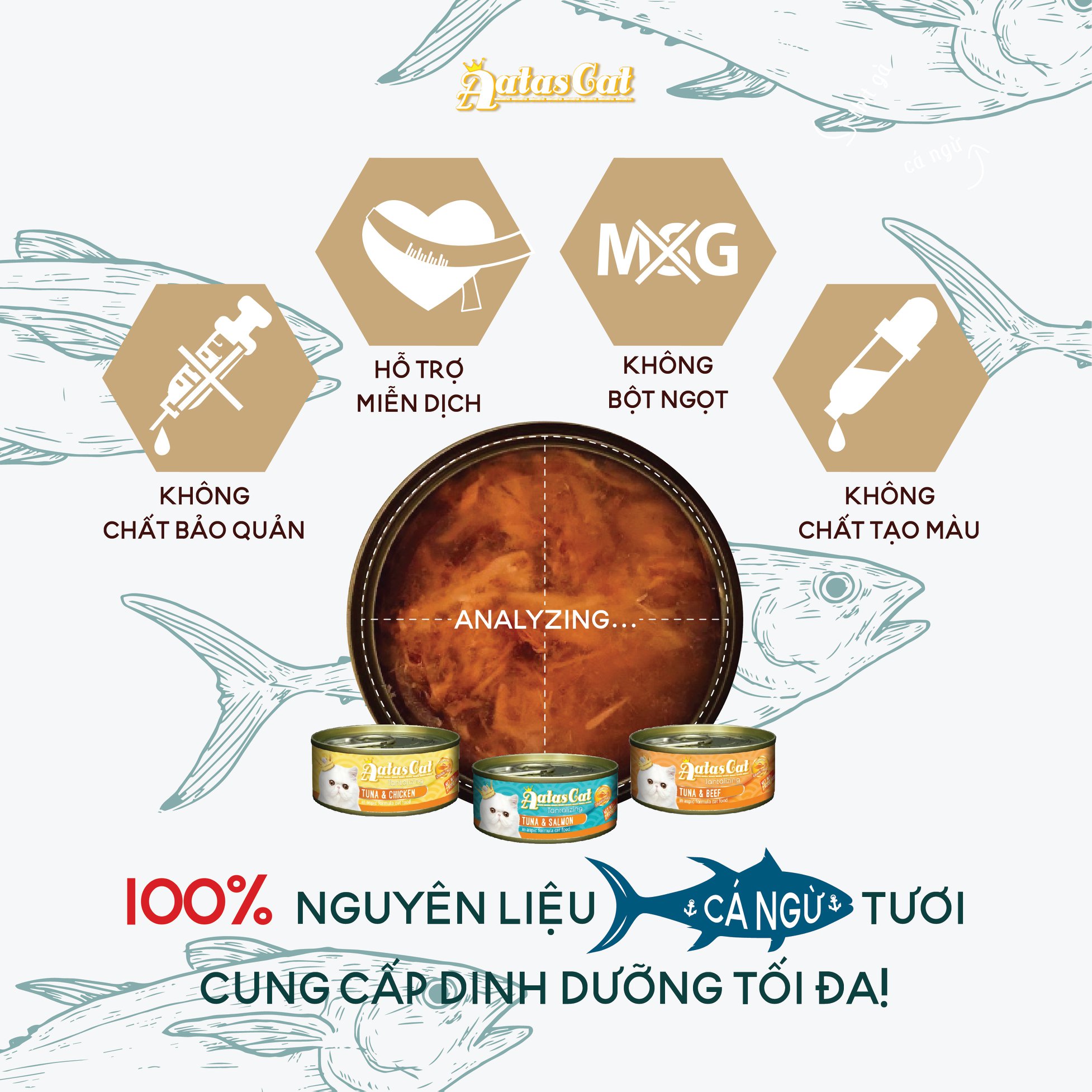 Pate Aatas cat cho mèo mọi lứa tuổi
