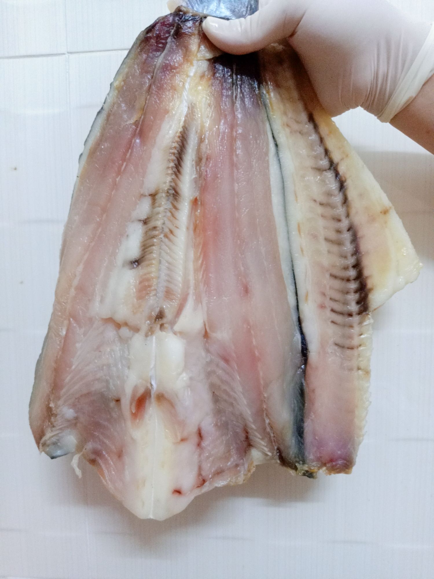 [HCM]CÁ DỨA 1 NẮNG NHÀ LÀM