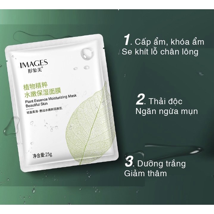 Combo 4 miếng Mặt Nạ Cấp Ẩm Plant Essence Moiturizing Mask