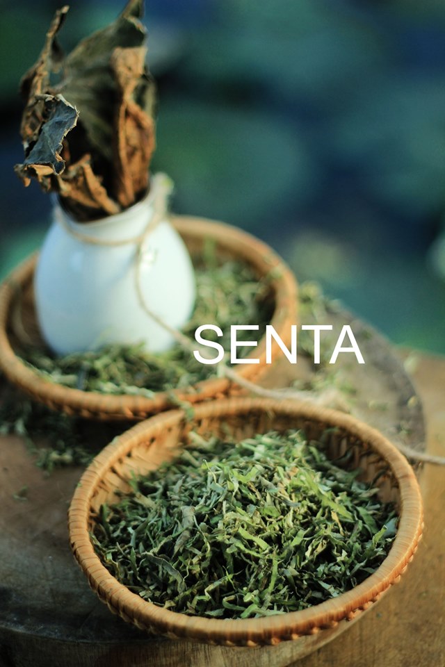 ( quà tặng) 100g trà lá sen