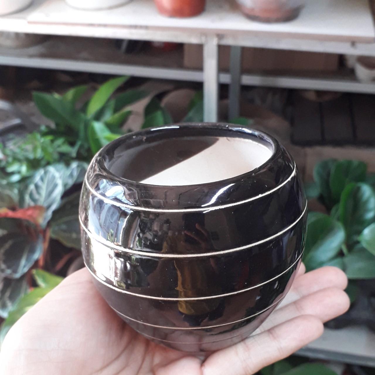 chậu sứ trồng cây đường kính 7cm