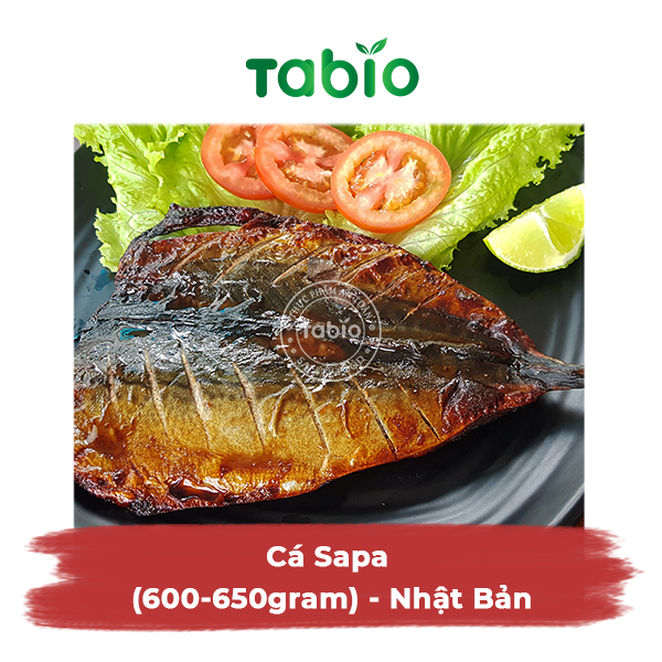 HCM - Cá Sapa (600-650gram) - Nhật Bản - TABIO